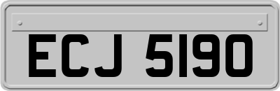 ECJ5190