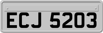 ECJ5203