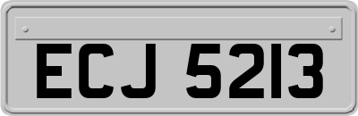 ECJ5213