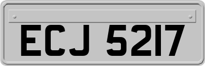 ECJ5217