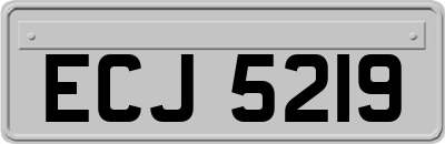 ECJ5219
