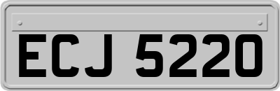 ECJ5220
