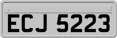 ECJ5223