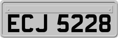 ECJ5228
