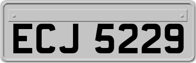 ECJ5229
