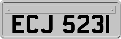 ECJ5231