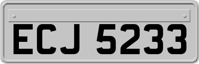 ECJ5233