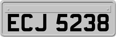 ECJ5238