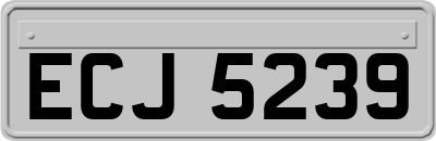 ECJ5239