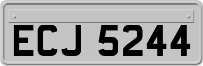 ECJ5244
