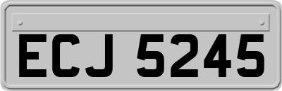 ECJ5245