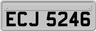 ECJ5246