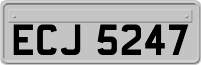 ECJ5247