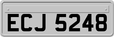 ECJ5248