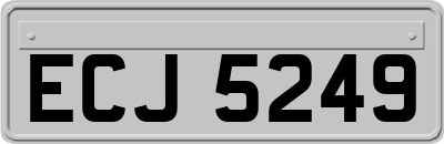ECJ5249