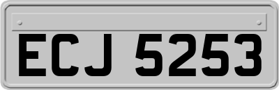 ECJ5253