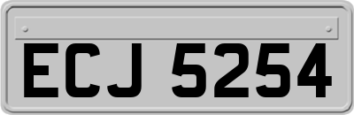 ECJ5254