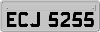 ECJ5255