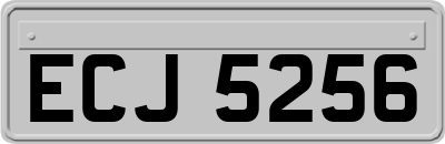 ECJ5256