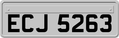 ECJ5263