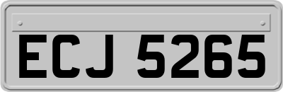 ECJ5265