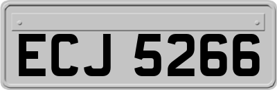 ECJ5266