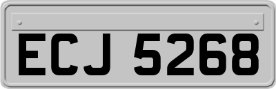 ECJ5268