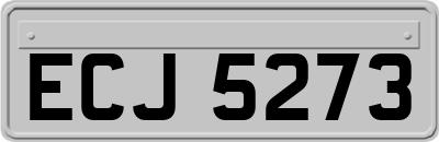 ECJ5273