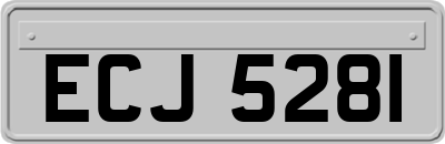 ECJ5281