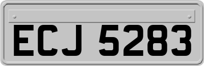 ECJ5283