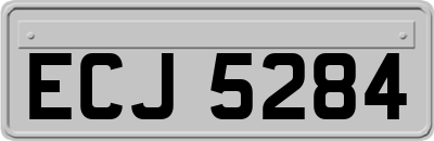 ECJ5284