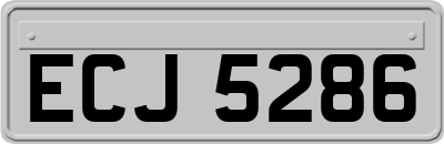 ECJ5286