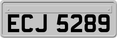ECJ5289