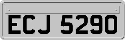 ECJ5290
