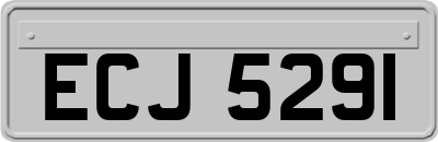 ECJ5291