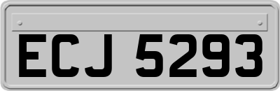 ECJ5293
