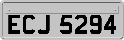 ECJ5294