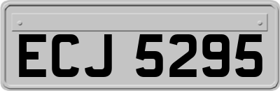 ECJ5295