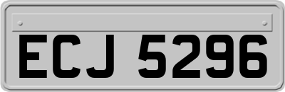 ECJ5296