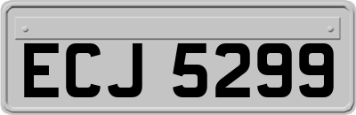 ECJ5299