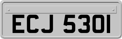 ECJ5301