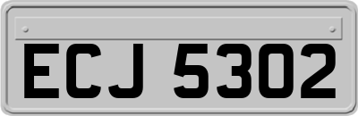 ECJ5302