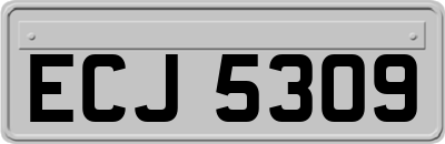 ECJ5309