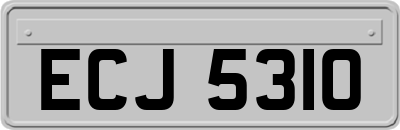 ECJ5310