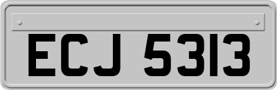 ECJ5313