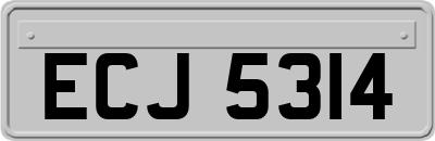 ECJ5314