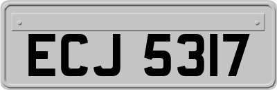 ECJ5317