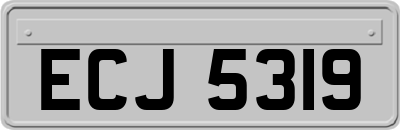 ECJ5319