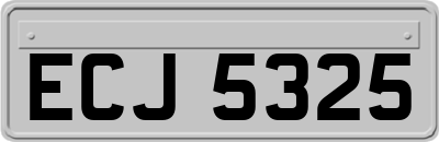 ECJ5325