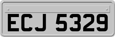 ECJ5329